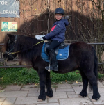 Benutzerprofilbild